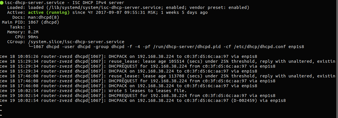 Ubuntu не получает ip по dhcp