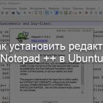 Как установить редактор Notepad ++ в Ubuntu